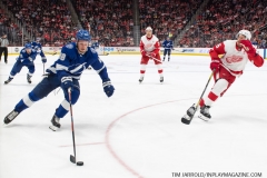 Red Wings vs Lightning March 14 2019 (55)