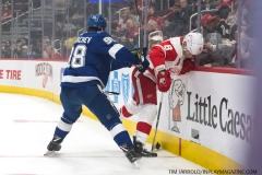 Red Wings vs Lightning March 14 2019 (64)