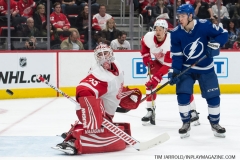 Red Wings vs Lightning March 14 2019 (7)