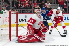 Red Wings vs Lightning March 14 2019 (9)