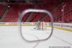 Little Caesars Arena 02