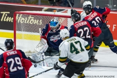 Windsor Spitfires vs London Knights Jan 18 2018 (32)
