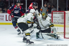 Windsor Spitfires vs London Knights Jan 18 2018 (8)
