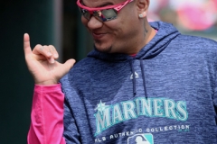 Tigers vs Mariners May 13 2018 (8)