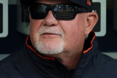 Tigers at Mariners May 20 2018 (9)