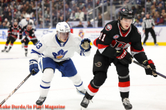 Toronto Marlies play the Bellville Senators at Scotiabank Arena