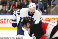 Toronto Marlies play the Bellville Senators at Scotiabank Arena