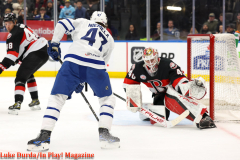 Toronto Marlies play the Bellville Senators at Scotiabank Arena