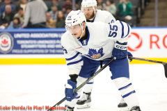 Toronto Marlies play the Bellville Senators at Scotiabank Arena