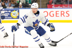 Toronto Marlies play the Bellville Senators at Scotiabank Arena