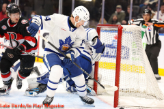 Toronto Marlies play the Bellville Senators at Scotiabank Arena