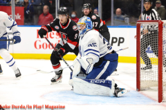 Toronto Marlies play the Bellville Senators at Scotiabank Arena