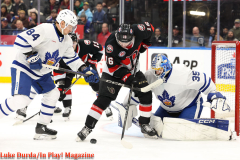 Toronto Marlies play the Bellville Senators at Scotiabank Arena