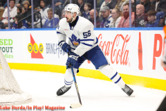 Toronto Marlies play the Bellville Senators at Scotiabank Arena