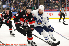 Toronto Marlies play the Bellville Senators at Scotiabank Arena