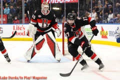 Toronto Marlies play the Bellville Senators at Scotiabank Arena