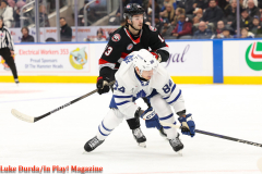 Toronto Marlies play the Bellville Senators at Scotiabank Arena