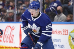 Toronto Vs Laval