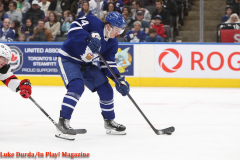 Toronto Marlies
