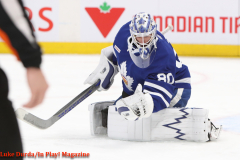 Toronto Marlies