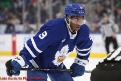 Toronto Marlies