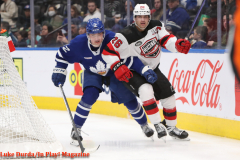 Toronto Marlies