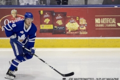 Laval-Rocket-vs-Toronto-Marlies-March-30-2019-1