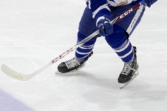 Laval-Rocket-vs-Toronto-Marlies-March-30-2019-10