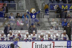Laval-Rocket-vs-Toronto-Marlies-March-30-2019-4