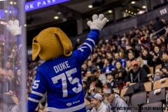 Utica-vs-Toronto-Marlies-Nov-30-2019-4