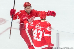 Red Wings vs Canadiens April 5 2018 (10)