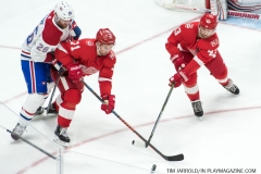 Red Wings vs Canadiens April 5 2018 (11)