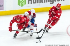 Red Wings vs Canadiens April 5 2018 (12)