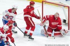 Red Wings vs Canadiens April 5 2018 (13)