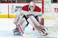 Red Wings vs Canadiens April 5 2018 (23)