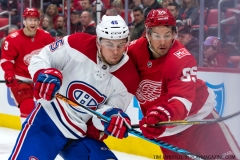 Red Wings vs Canadiens April 5 2018 (3)