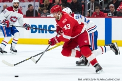 Red Wings vs Canadiens April 5 2018 (6)