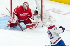 Red Wings vs Canadiens April 5 2018 (9)