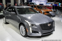 NAIAS 2019 (13)