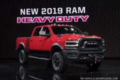 NAIAS 2019 (16)