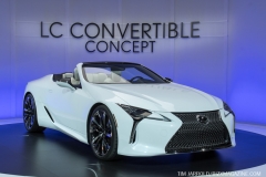 NAIAS 2019 (17)