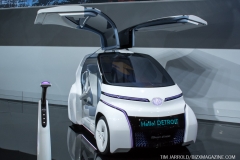 NAIAS 2019 (2)