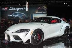 NAIAS 2019 (3)
