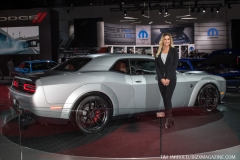 NAIAS 2019 (4)