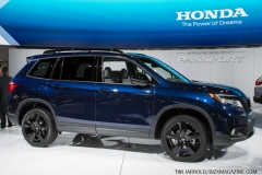 NAIAS 2019 (5)