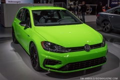 NAIAS 2019 (6)