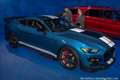 Detroit NAIAS 2019 Vol 2 (11)