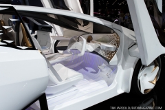 Detroit NAIAS 2019 Vol 2 (4)