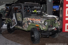 Detroit NAIAS 2019 Vol 2 (5)