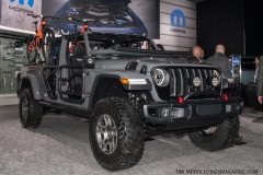 Detroit NAIAS 2019 Vol 2 (7)
